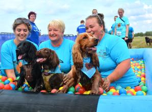 Pet lovers raise thousands for Battersea at Windsor Muddy Dog challenge