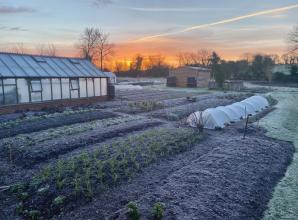 How to look after your allotment during the winter months