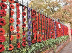 Five thousand knitted and crocheted poppies on display in Marlow